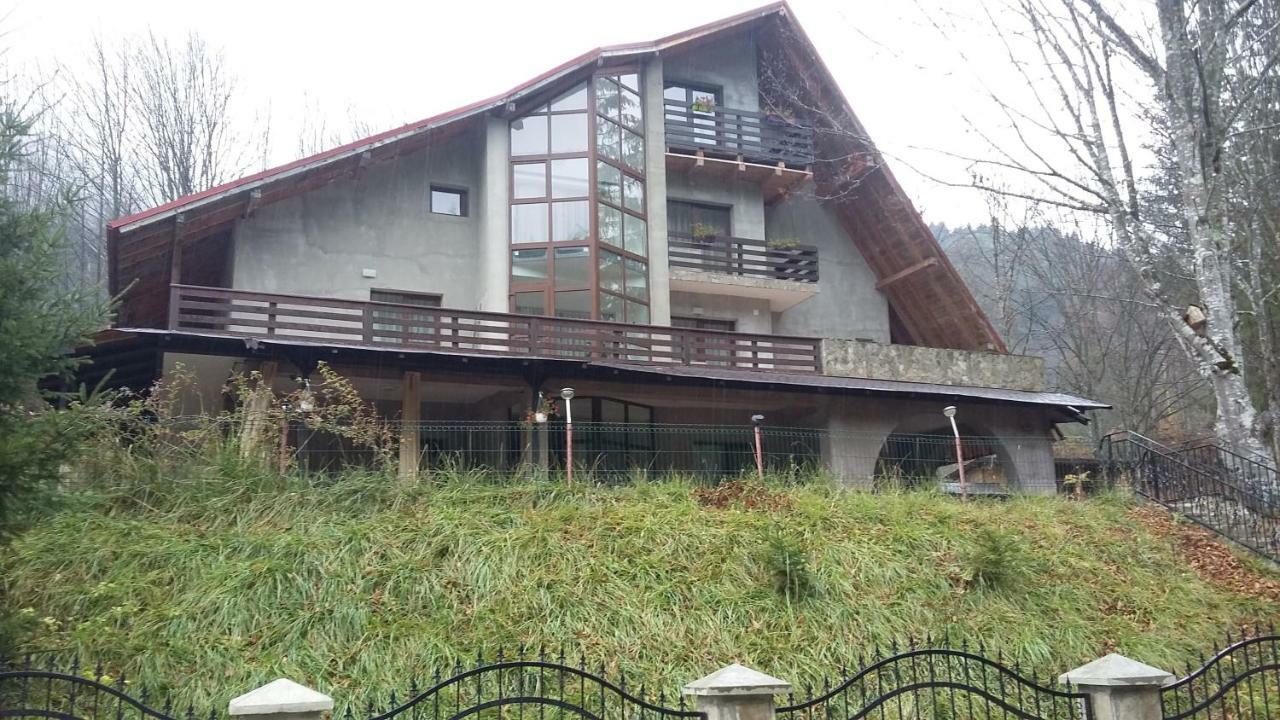 Pensiunea Poiana Soarelui Brates Exterior photo