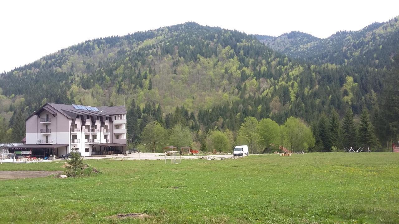 Pensiunea Poiana Soarelui Brates Exterior photo