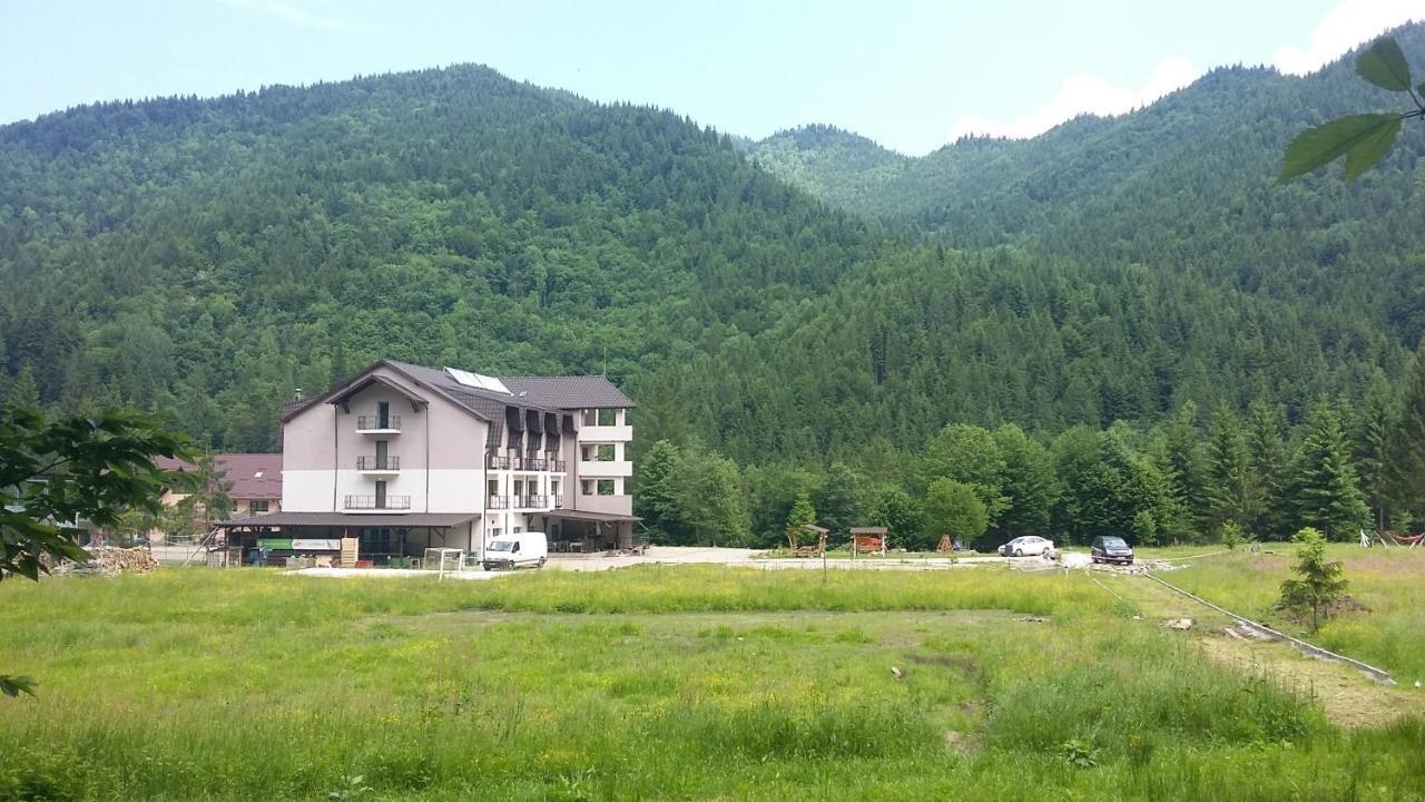 Pensiunea Poiana Soarelui Brates Exterior photo